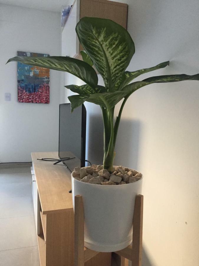 Trendy Full Apartment In Recoleta ブエノスアイレス エクステリア 写真